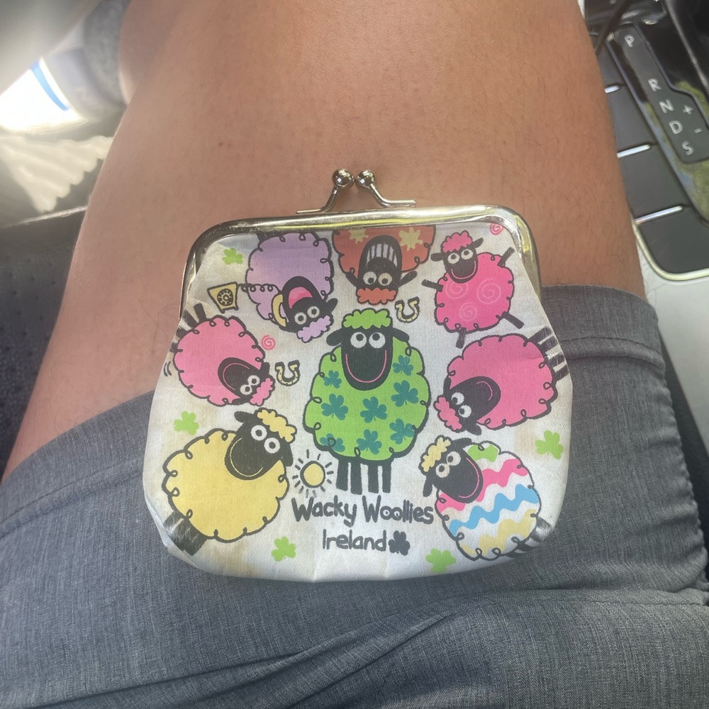 Multicolor Coin Purse